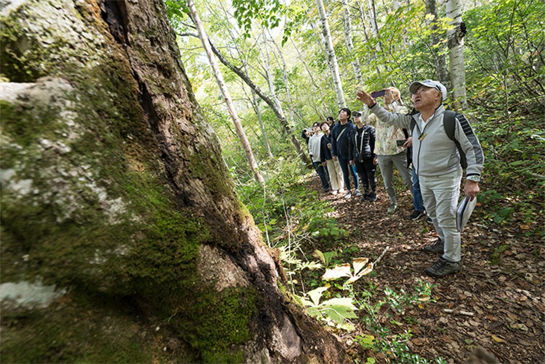 アドベンチャーゾーン：ショートトレッキング